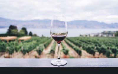 Comment aérer correctement votre vin pour en révéler tous les arômes ?